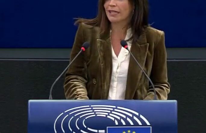 Ley Servicios Digitales