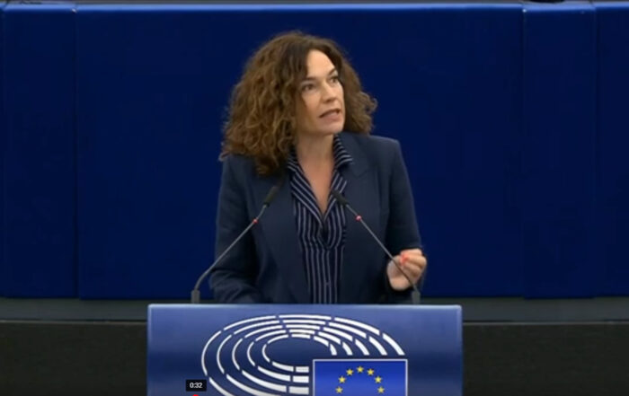 Lina Gálvez interviene en el pleno del Parlamento Europeo, sobre materias primas críticas