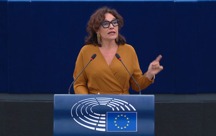 Lina Gálvez interviene en el Parlamento Europeo sobre la brecha salarial de género. Estrasburgo, 26 noviembre 2024